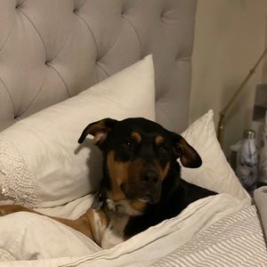 Meet your Posher, Stephen